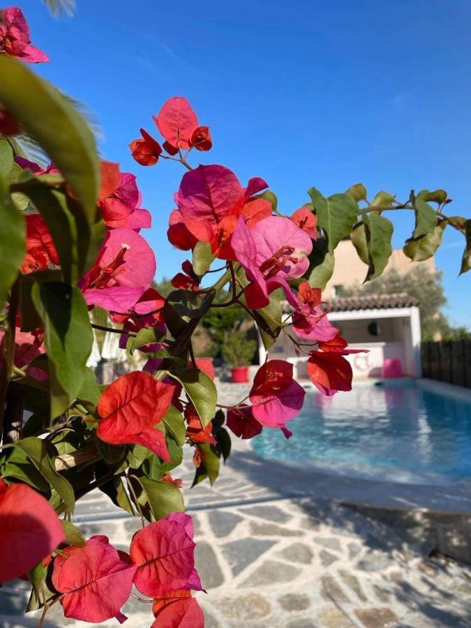 Apartamento Maxima Sunset Sainte-Maxime Exterior foto